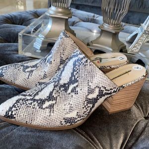 American Pag women mul